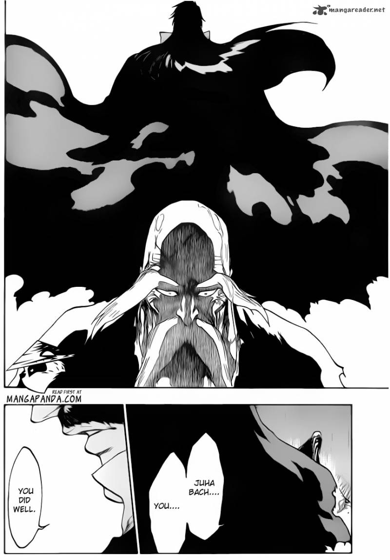 Bleach 510 8