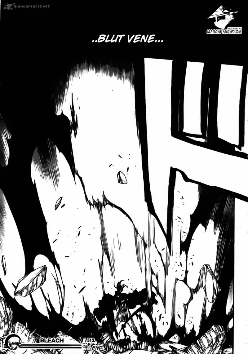 Bleach 513 19