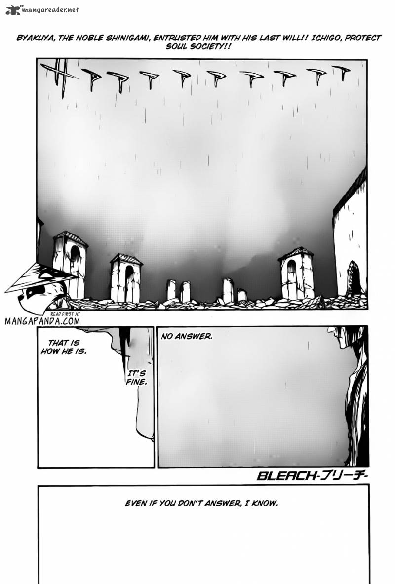 Bleach 513 3