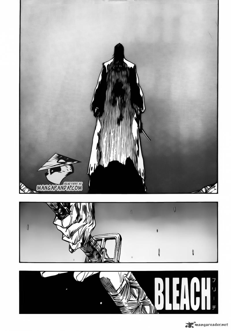Bleach 513 5