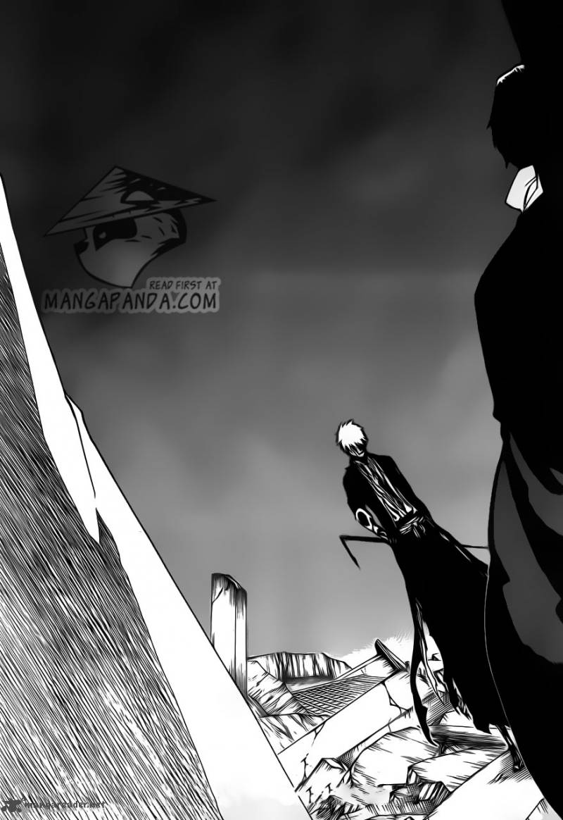 Bleach 513 7
