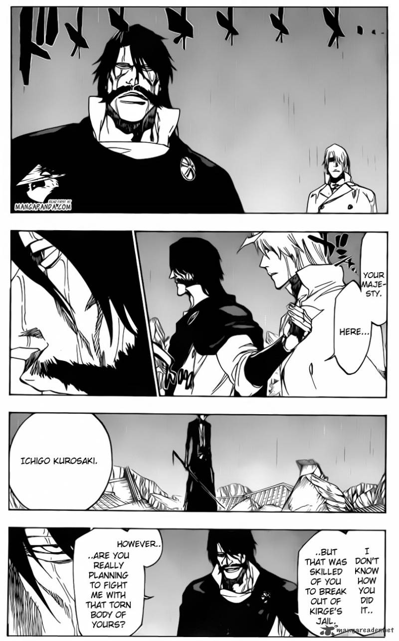 Bleach 513 8