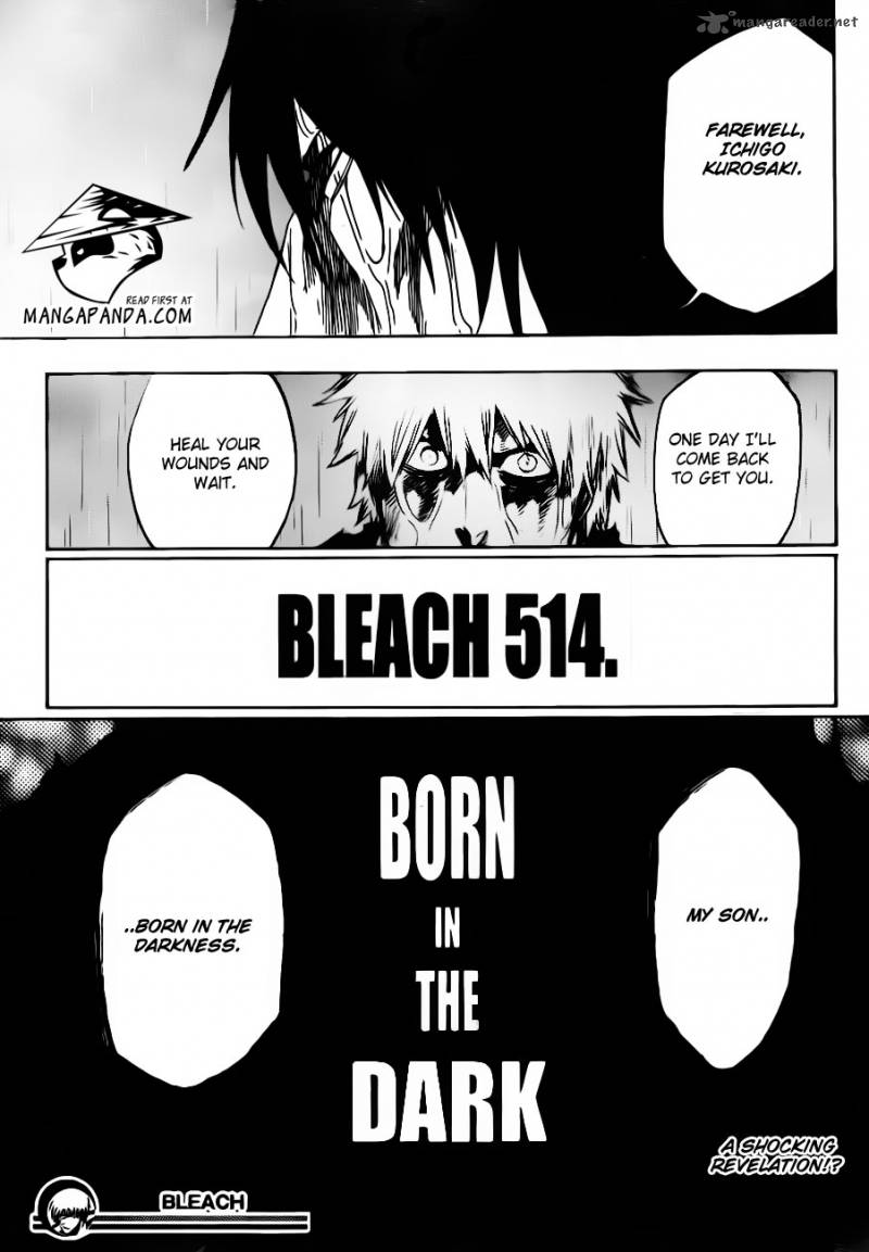 Bleach 514 19