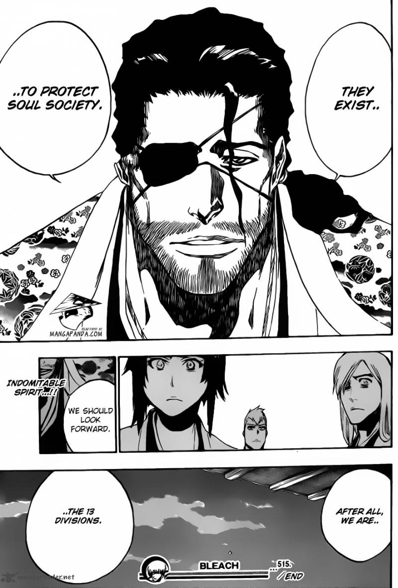 Bleach 515 20