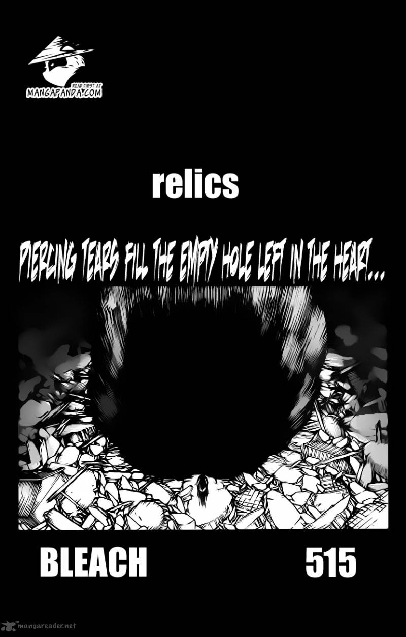 Bleach 515 7