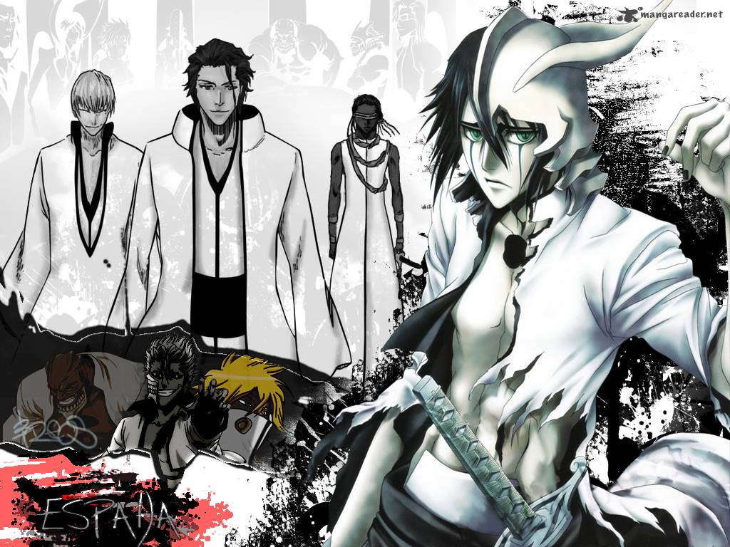 Bleach 517 1