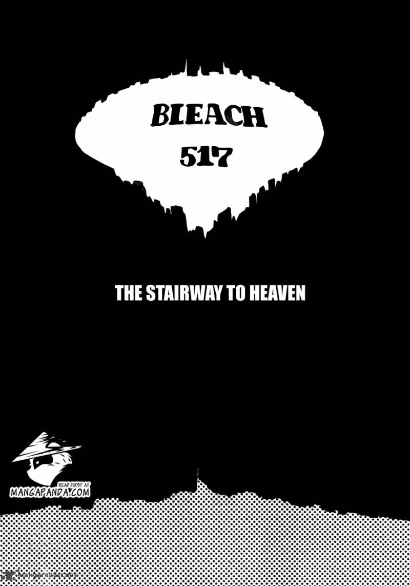 Bleach 517 11