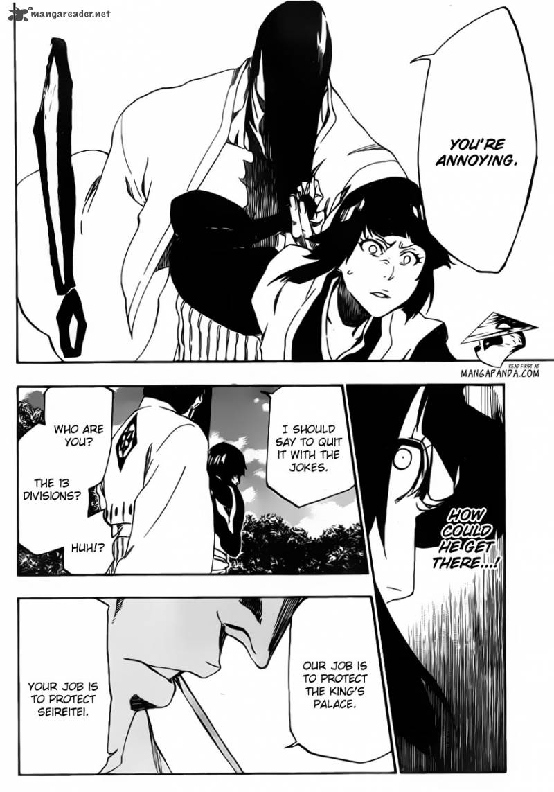Bleach 517 13