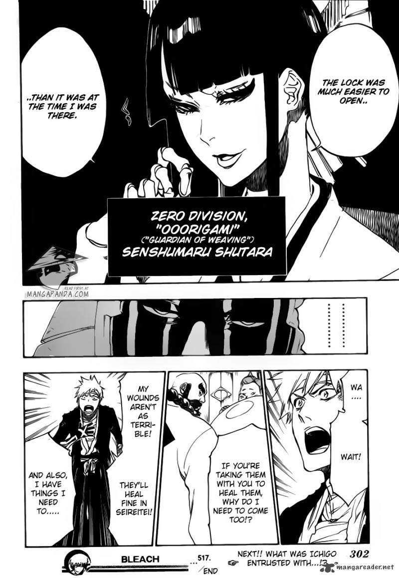 Bleach 517 19