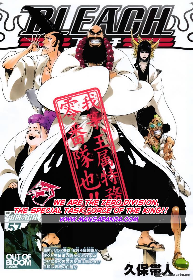 Bleach 517 3