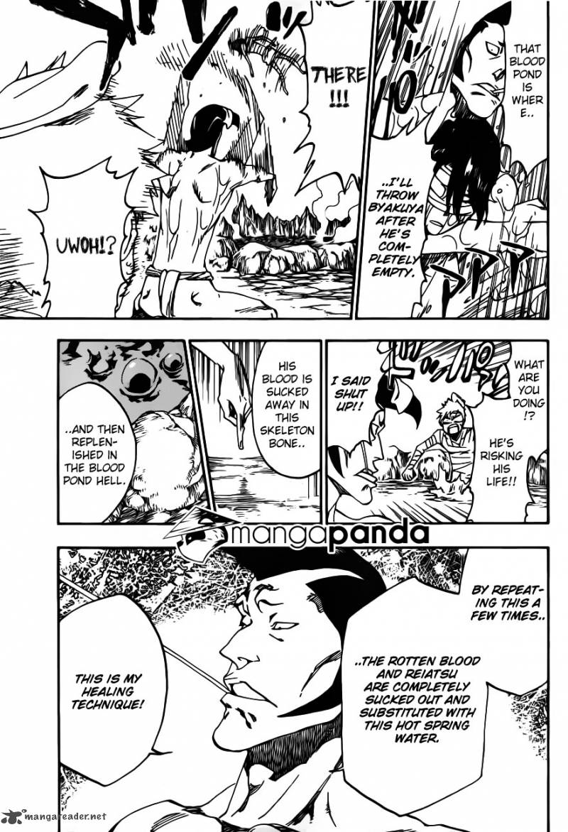 Bleach 519 15