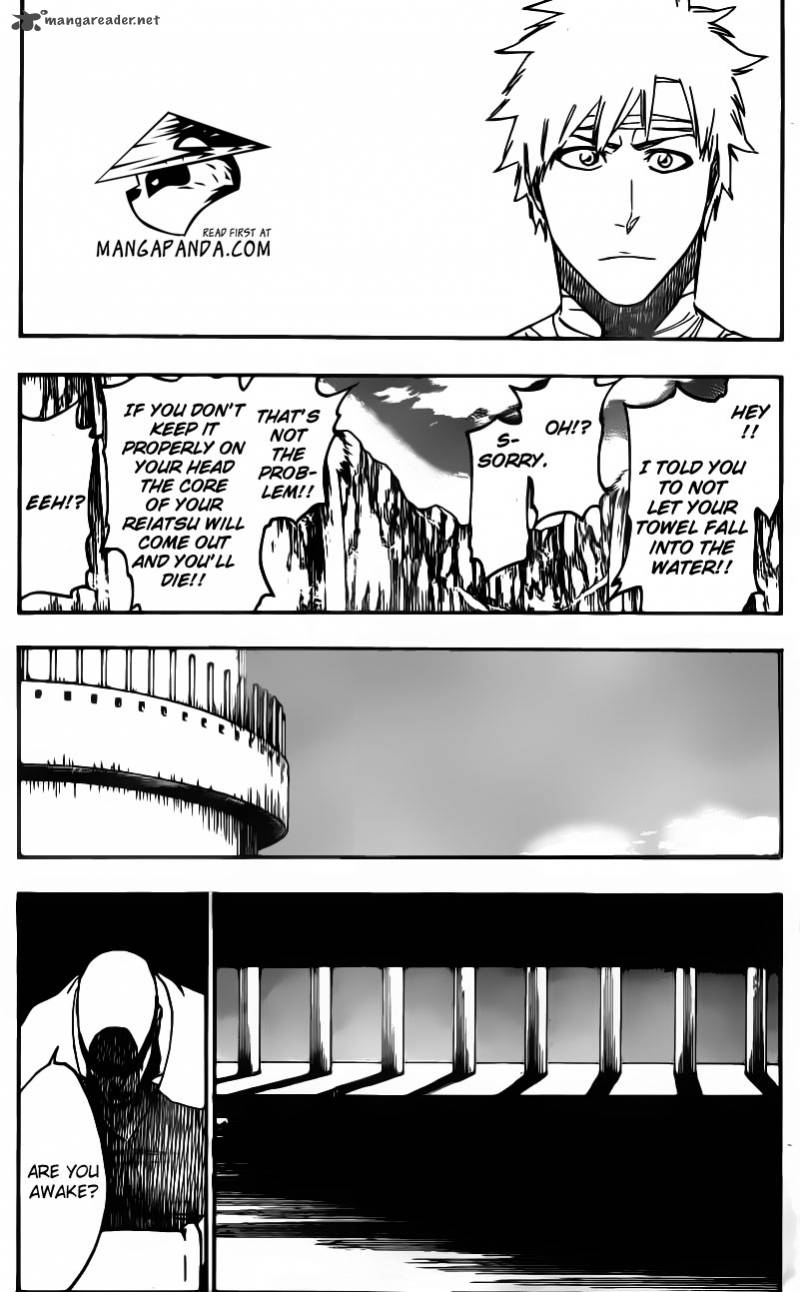 Bleach 519 17