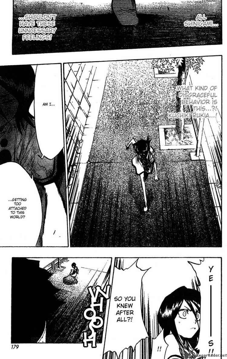 Bleach 52 9