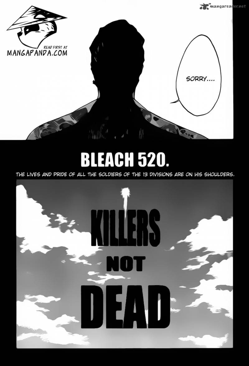Bleach 520 6