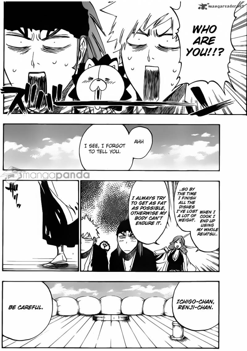 Bleach 521 16