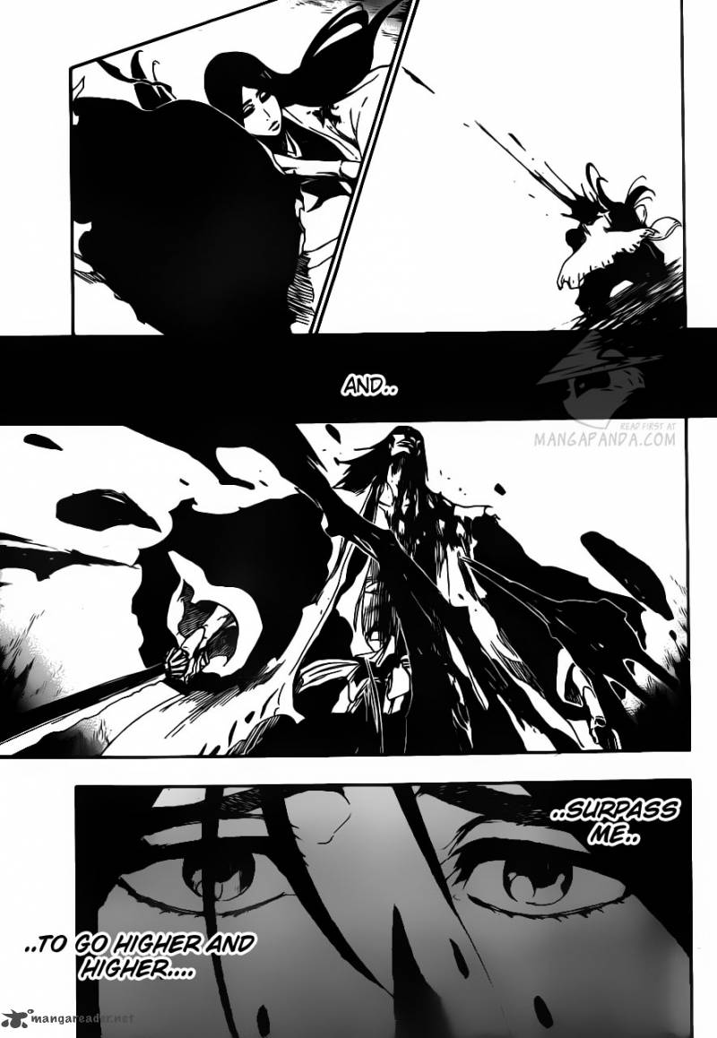 Bleach 525 17