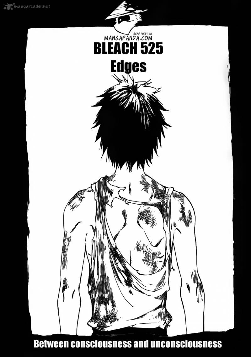 Bleach 525 5