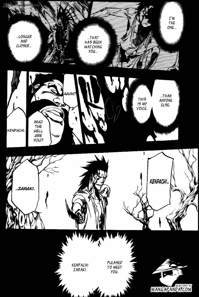 Bleach 527 11