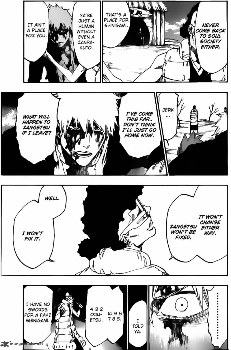 Bleach 527 18