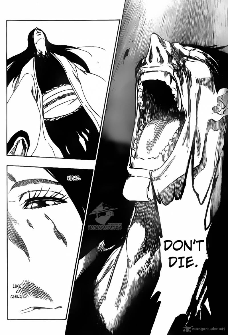 Bleach 527 7