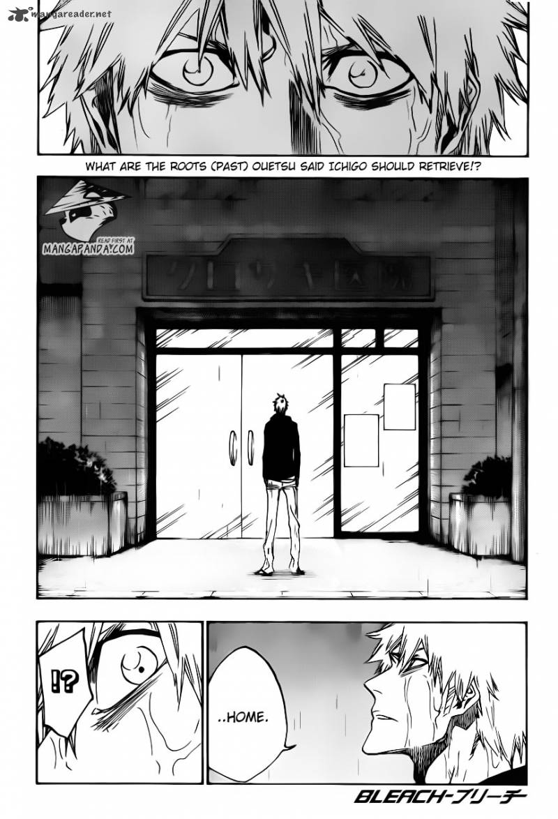 Bleach 528 1