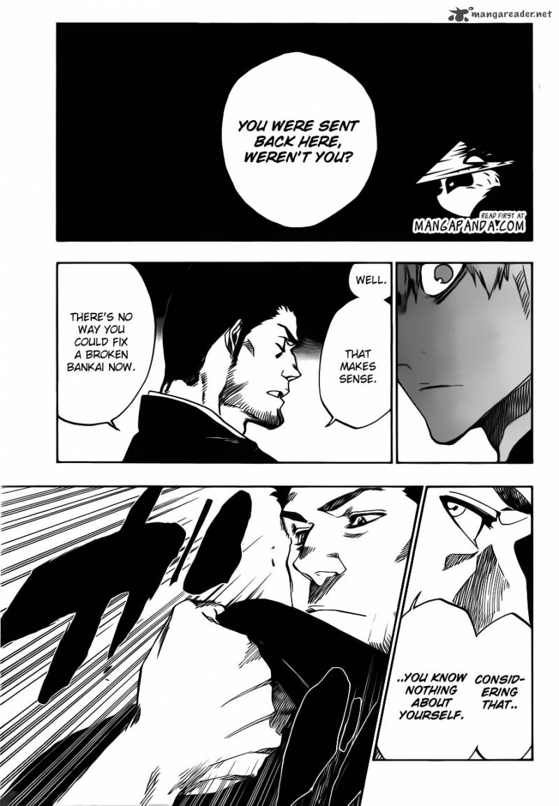 Bleach 528 13