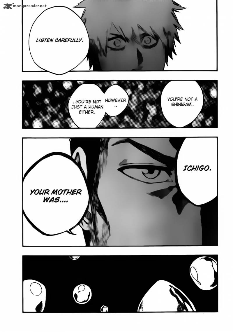Bleach 528 15
