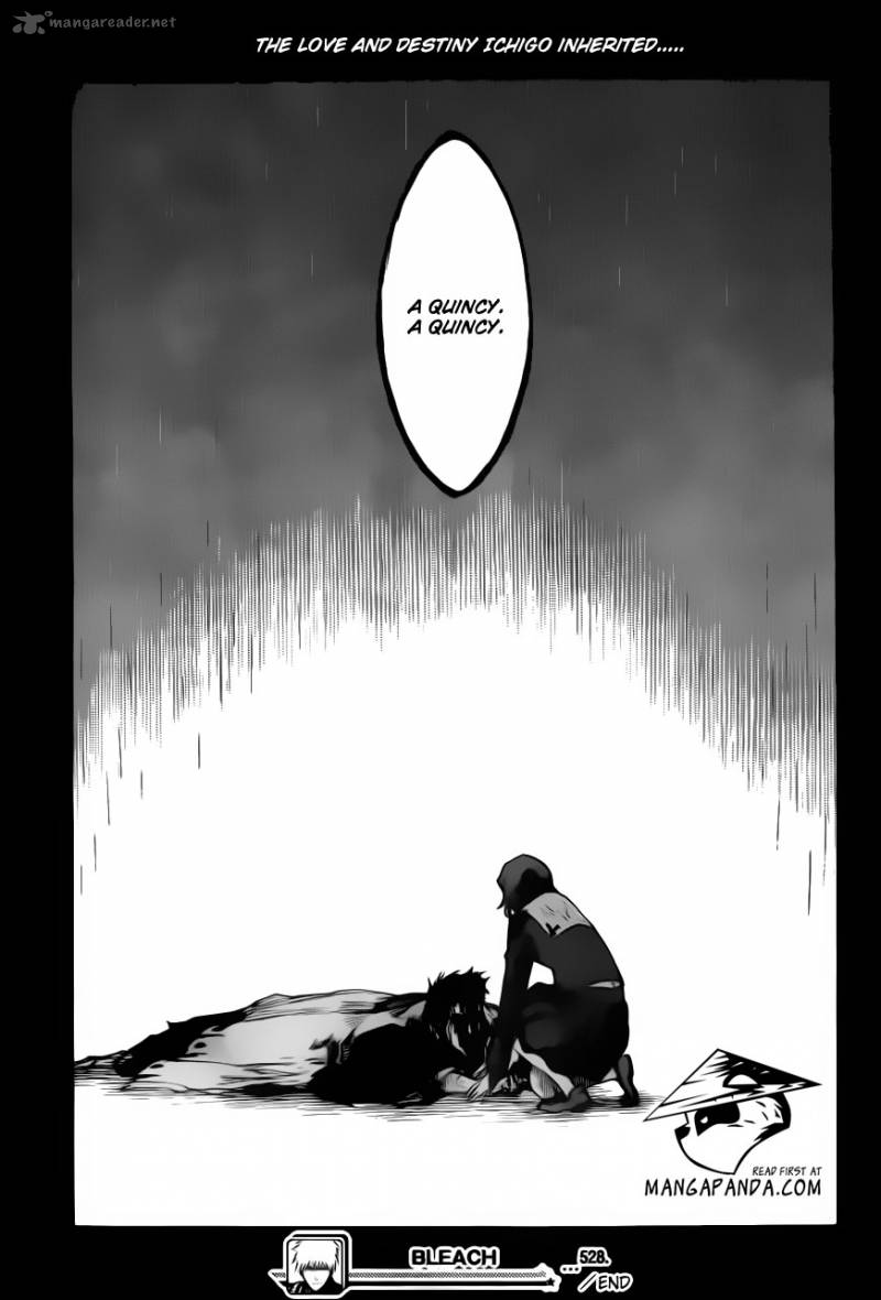 Bleach 528 17