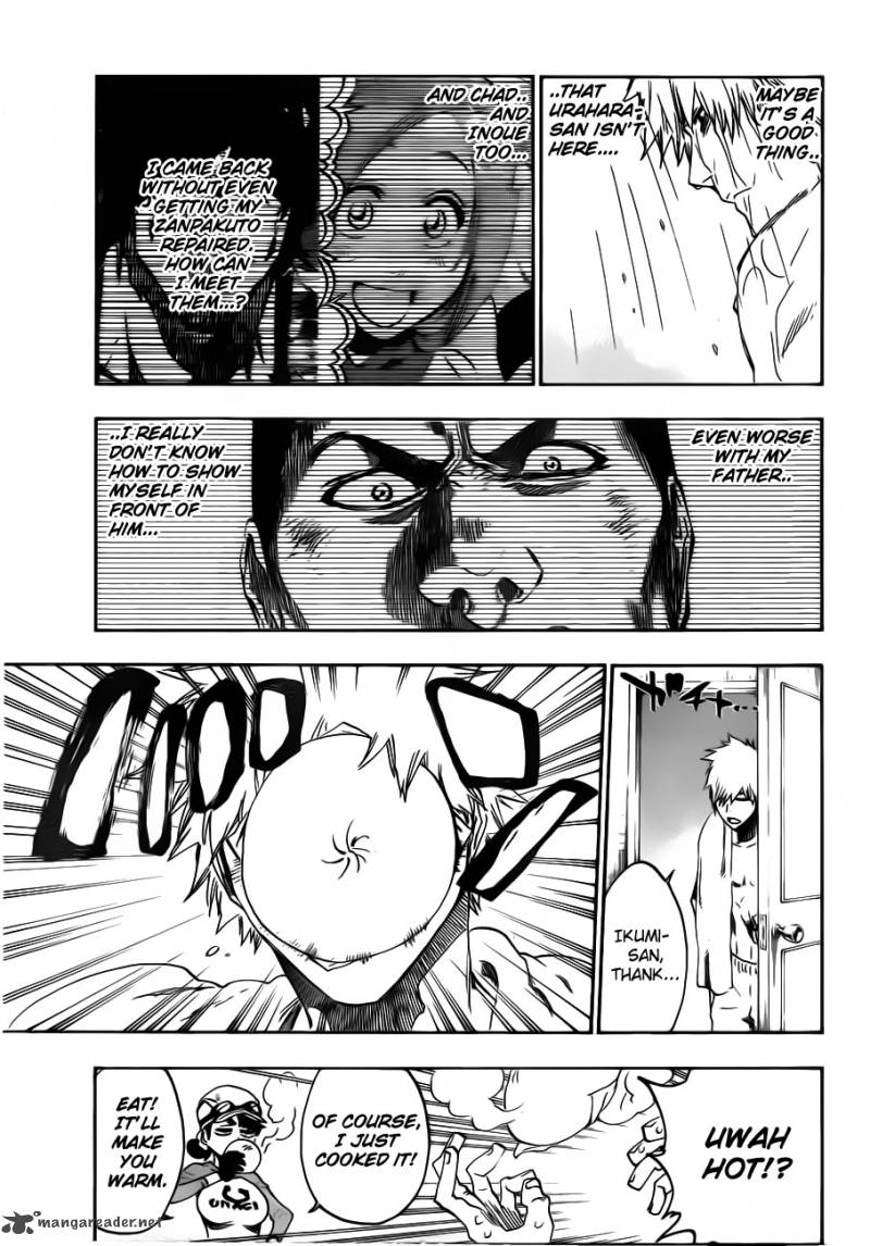 Bleach 528 5