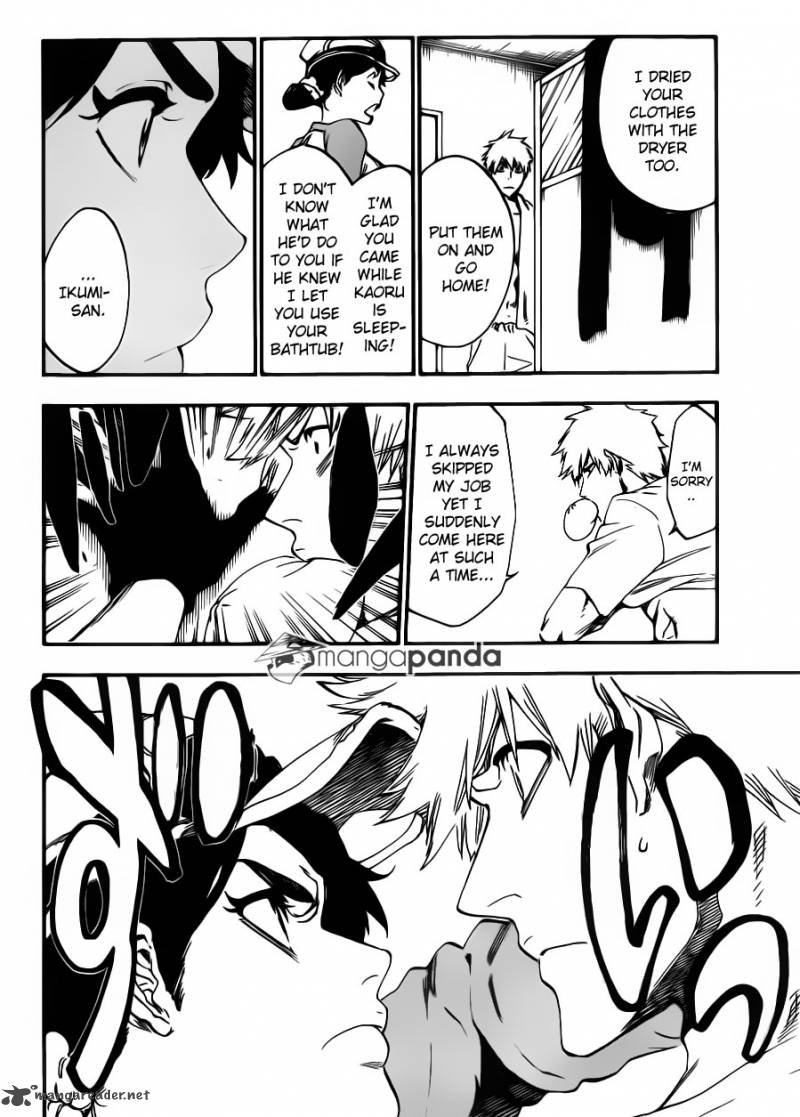Bleach 528 6