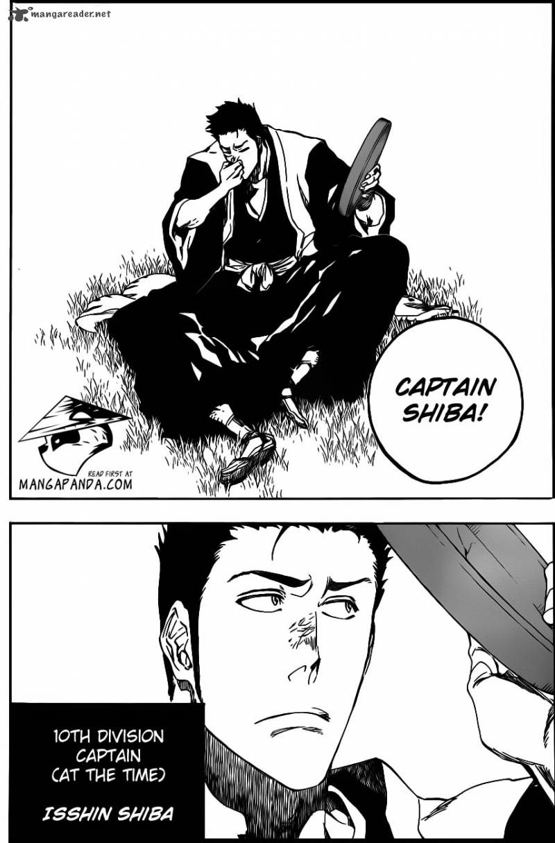 Bleach 529 10