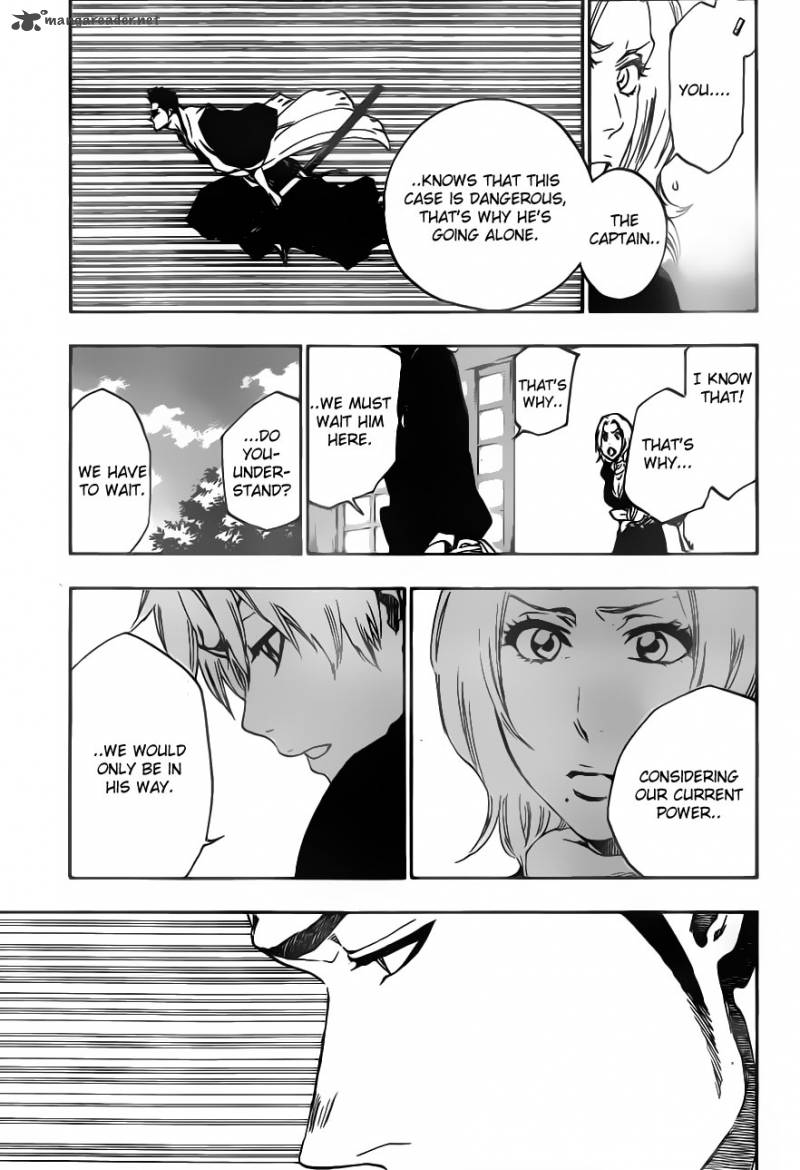 Bleach 529 17