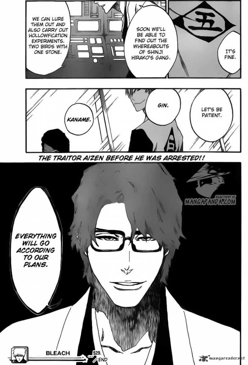 Bleach 529 19
