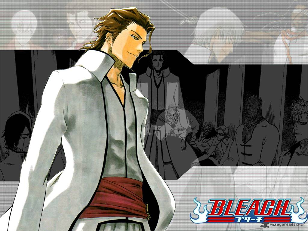 Bleach 529 2