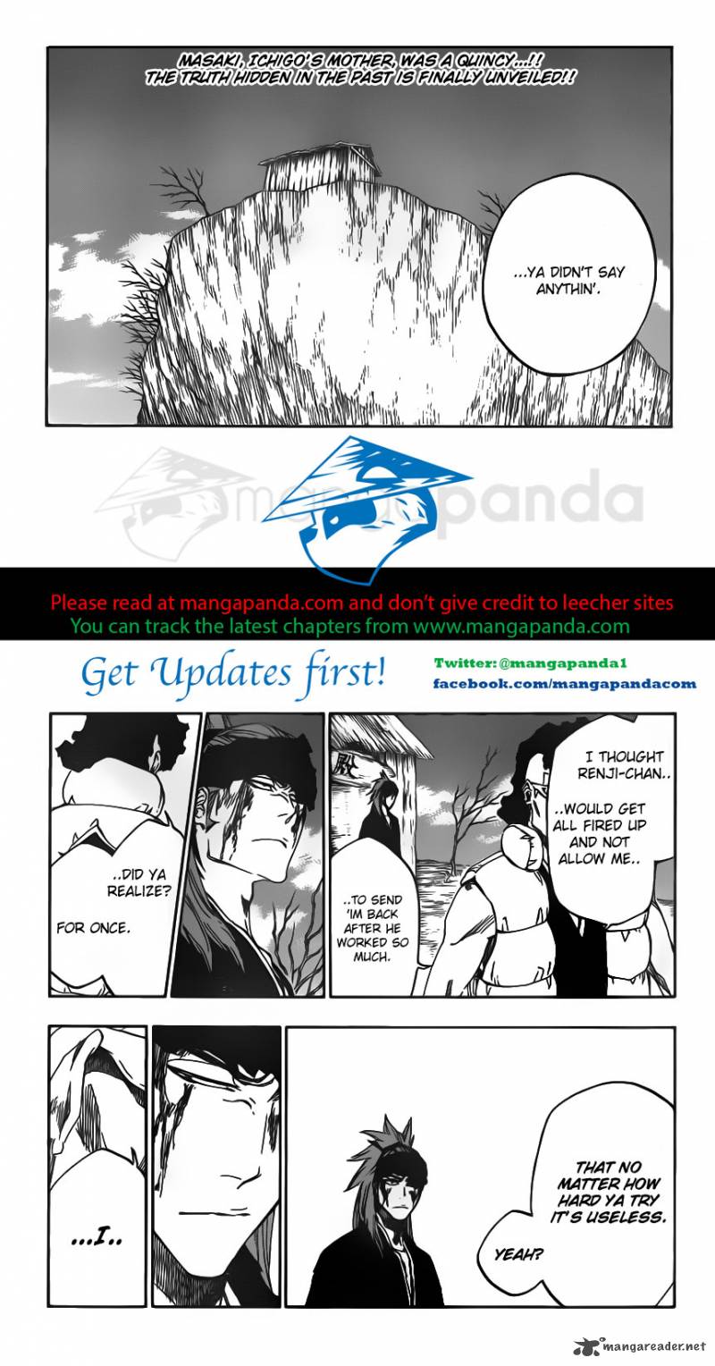 Bleach 529 3