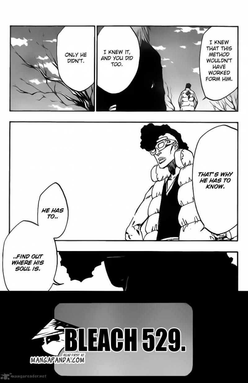 Bleach 529 6