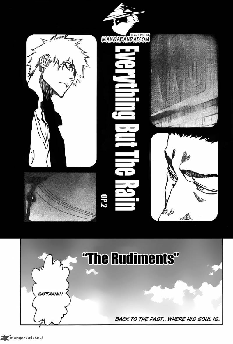 Bleach 529 7
