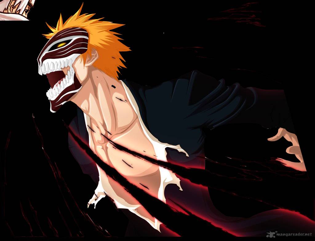 Bleach 530 1