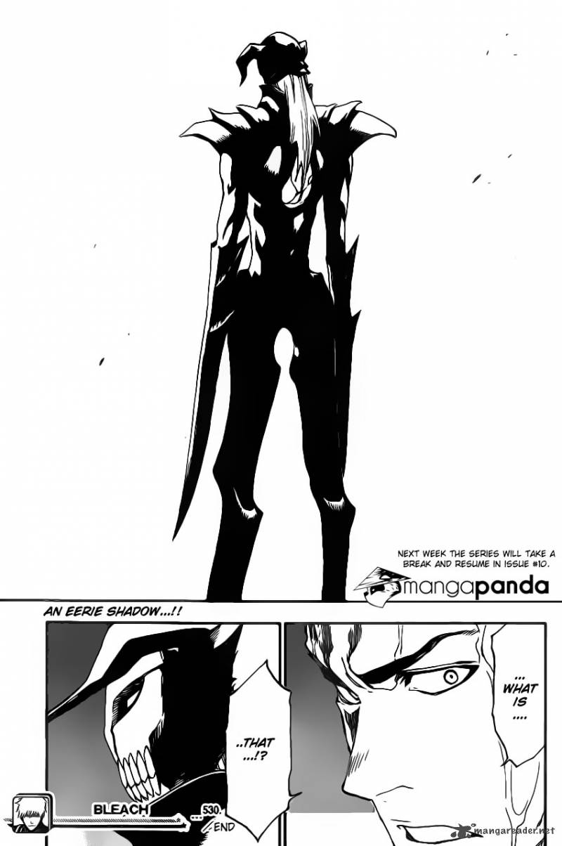 Bleach 530 19