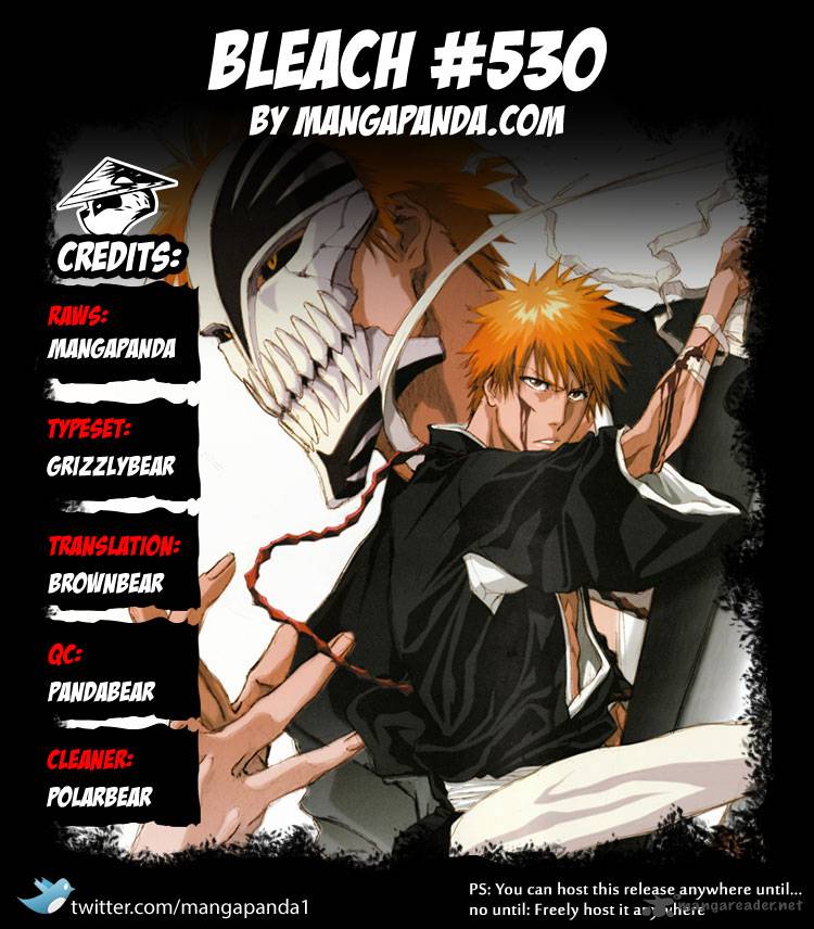 Bleach 530 22