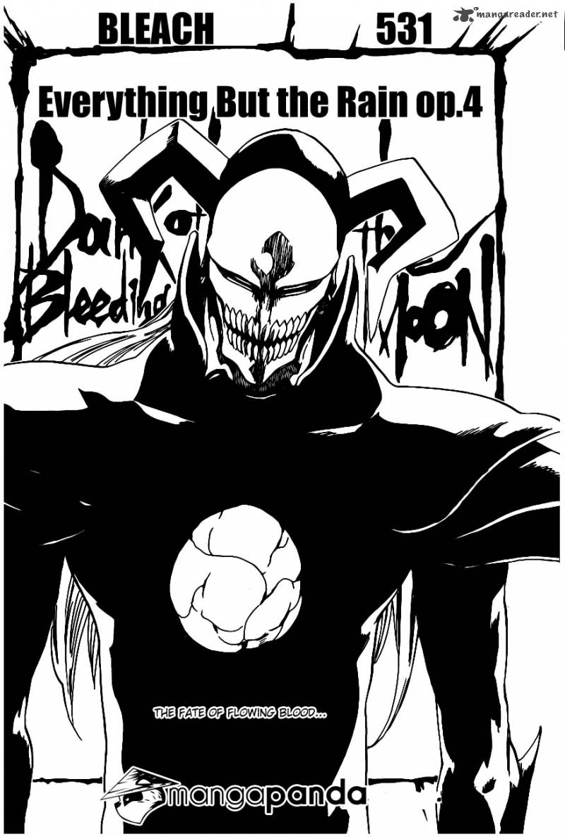 Bleach 531 8
