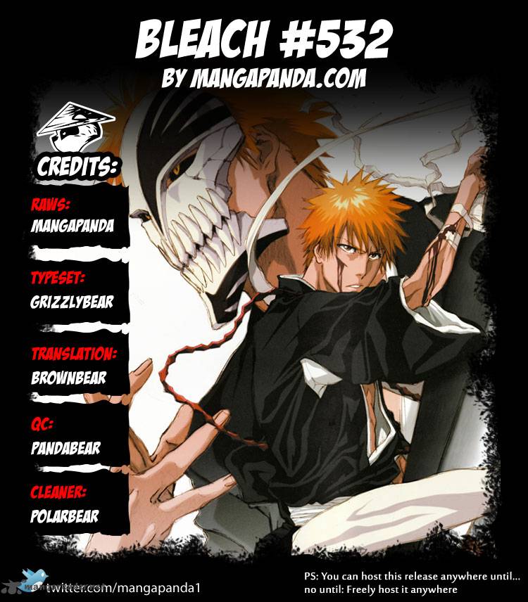 Bleach 532 22