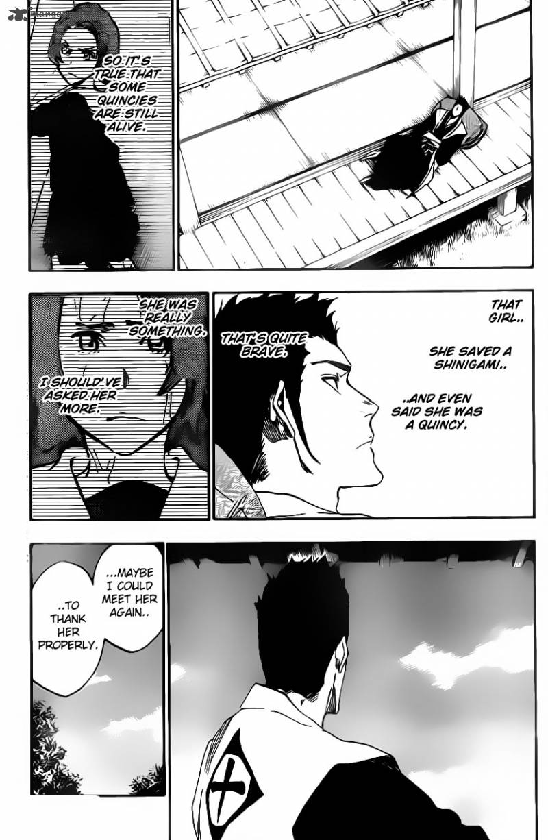 Bleach 533 17