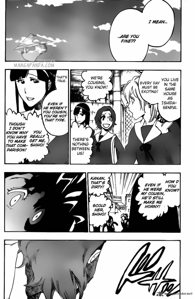 Bleach 533 18