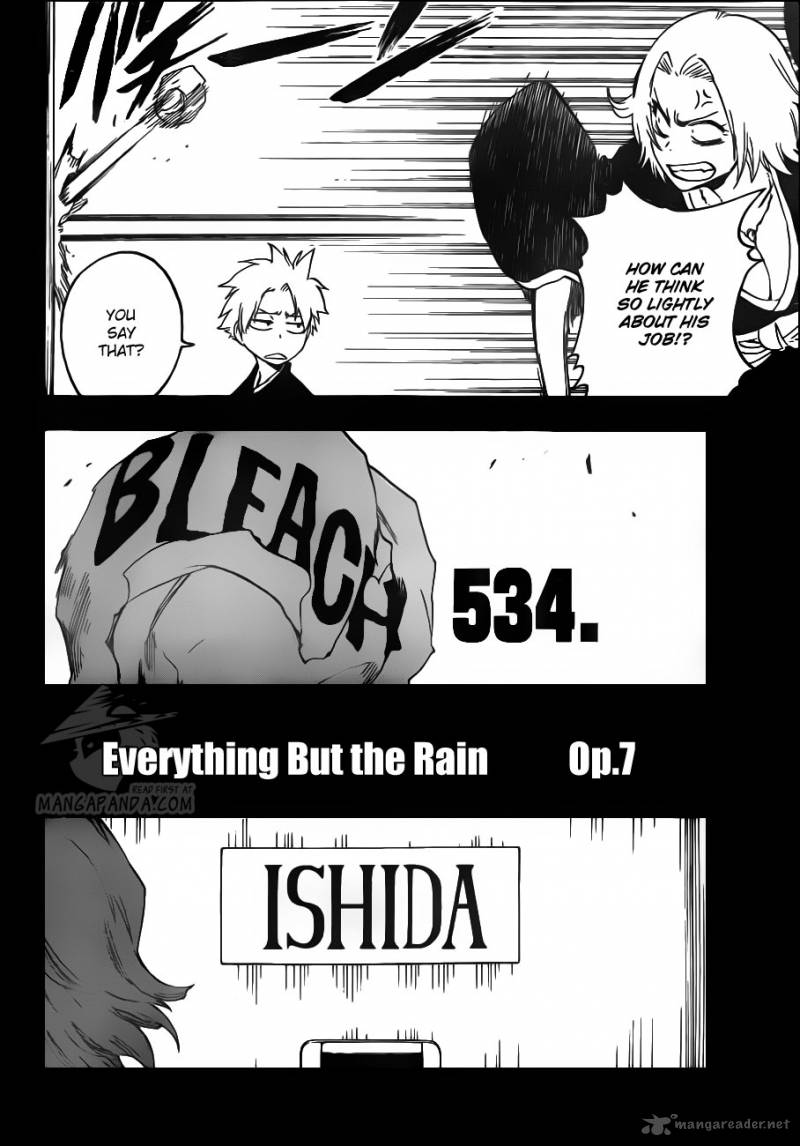 Bleach 534 5