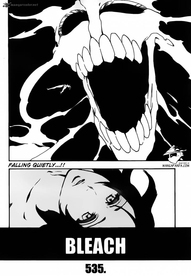 Bleach 535 4