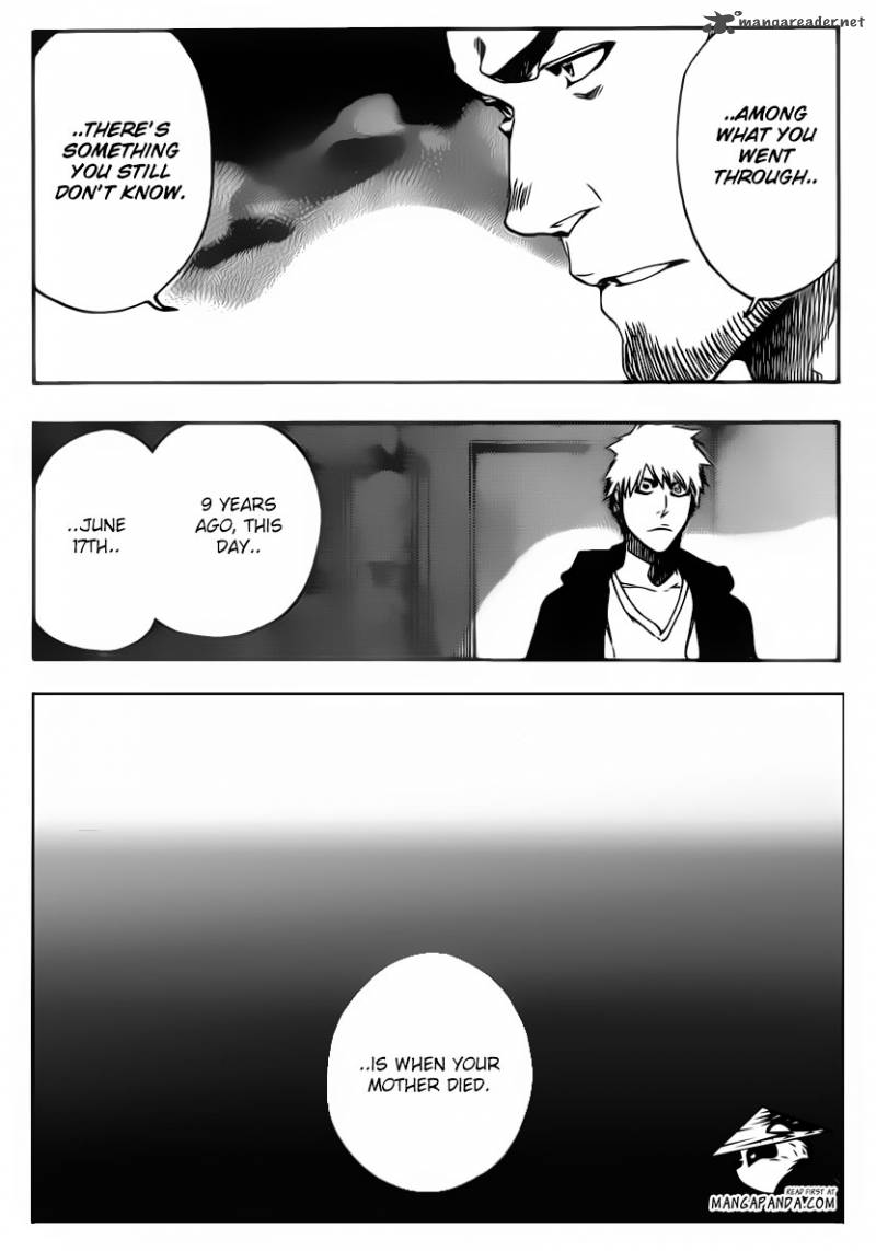 Bleach 536 18