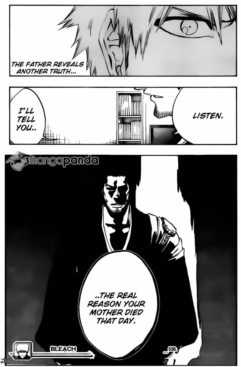 Bleach 536 19