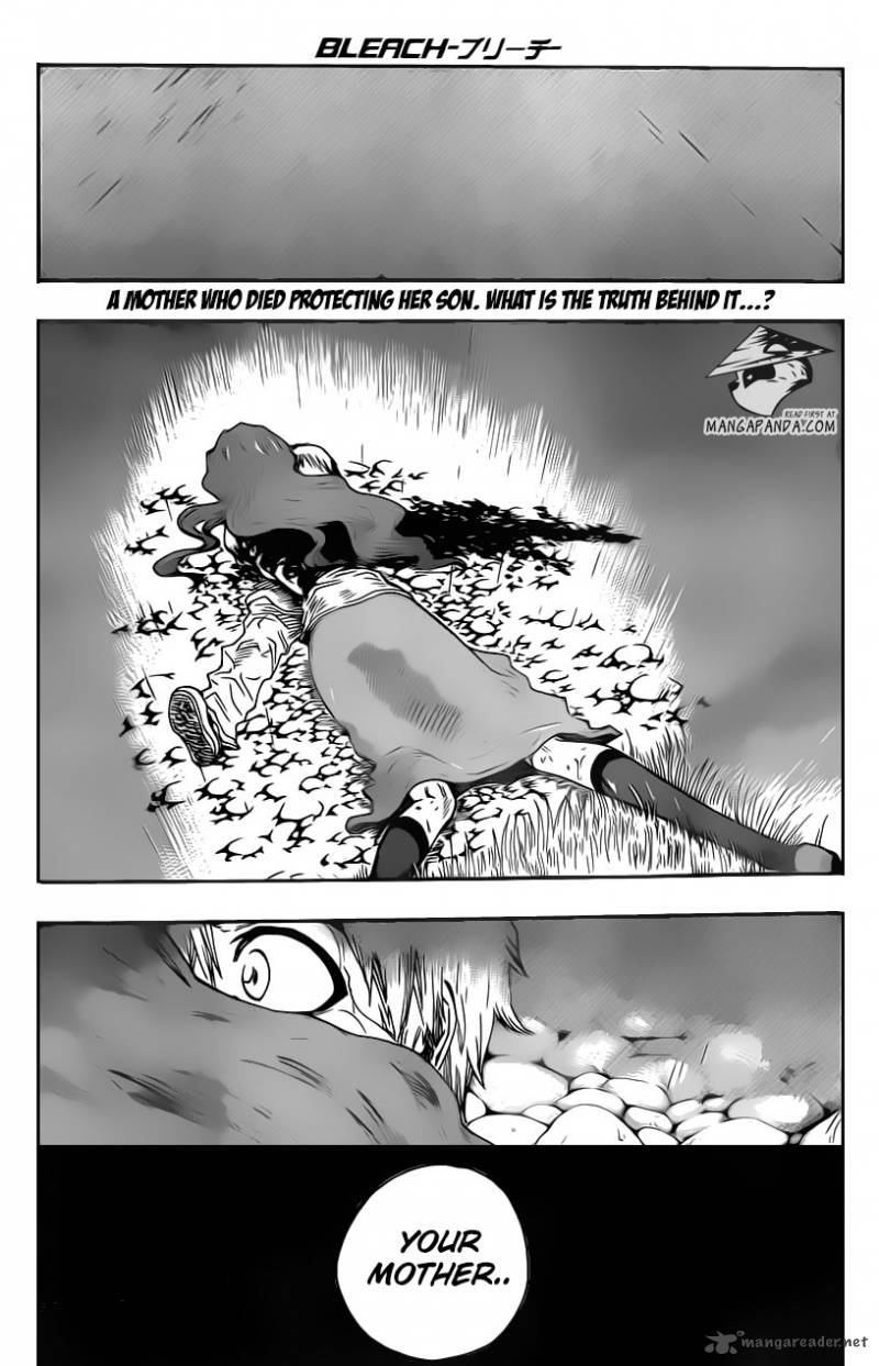 Bleach 537 2