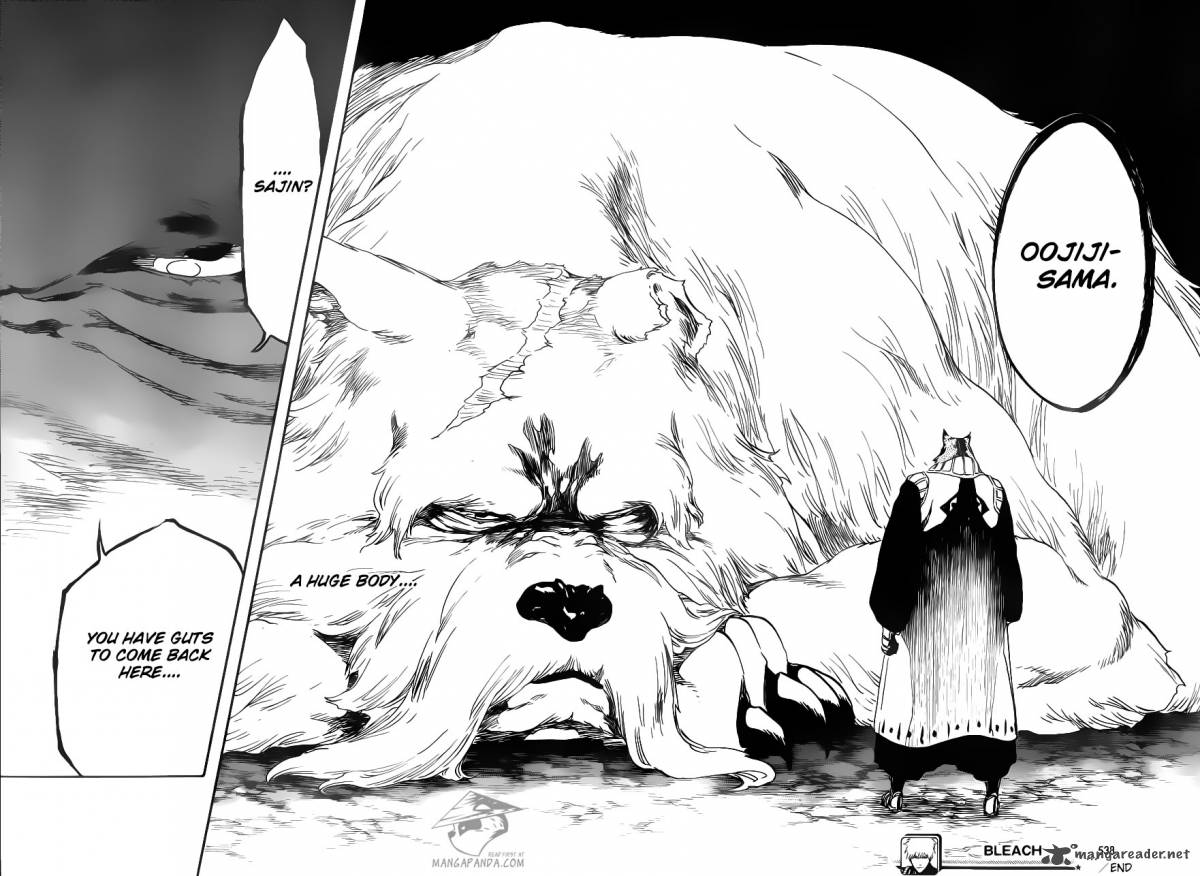 Bleach 538 18
